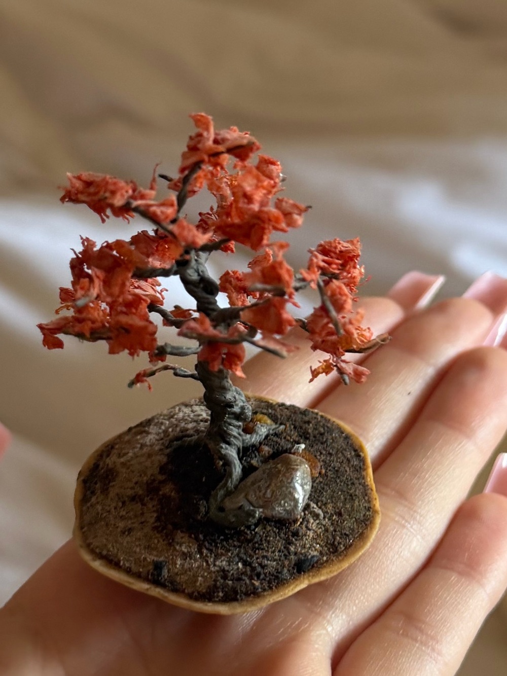 🐌 Novelty Mini Coral Bonsai Tree in a Nutshell from Victoria British Columbia